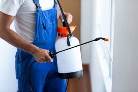 Emergency Pest Control Services in Thornton, IL